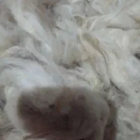 پشم‌پاییزه‌وبهاری‌کیلویی‌پنجاه‌هزار‌تومان