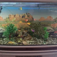 آکواریم و کمد|ماهی|مشهد, انقلاب|دیوار