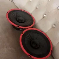 میدرنج دهنه 8