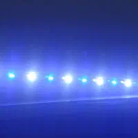 ال ای دی،فیلتر داخلی،استیک،ویبرابایت،فیکوسیانین|ماهی|مشهد, انقلاب|دیوار