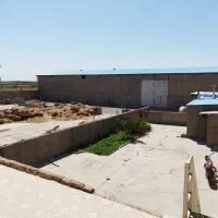 گاوداری صنعتی 104 راسی (امینی) بهر جاده اصلی|فروش دفتر صنعتی، کشاورزی، تجاری|دشتابی, |دیوار