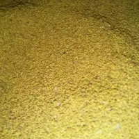 بذر یونجه همدان