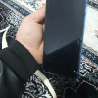 فروشی کوشی شیامی10a سالم