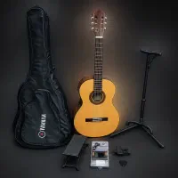 گیتار سفارشی