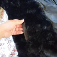 پالتو خز|لباس|قنوات, |دیوار