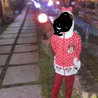 سویشرت ۶ تا ۹ سال|کفش و لباس بچه|رودهن, |دیوار