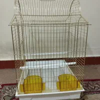 قفس پرنده(نو)|لوازم جانبی حیوانات|بندر ماهشهر, |دیوار