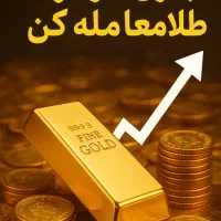 طلای رایگان جایزه ببر|کارت هدیه و تخفیف|تهران, آرژانتین|دیوار