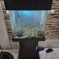 دوعدد آکواریوم شیشه خم هردو باهم|ماهی|ری, دولتآباد|دیوار