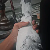 کفتر|پرنده|مسجد سلیمان, |دیوار