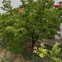 فروش باغ ویلایی|فروش خانه و ویلا|شبستر, |دیوار