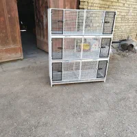 قفس کبوتر جفت کن