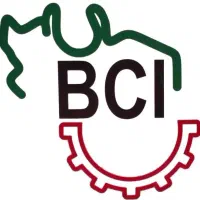 کارشناس زبان روسی