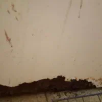 فروش یخچال وترازو|فروشگاه و مغازه|رشت, گلزاران|دیوار