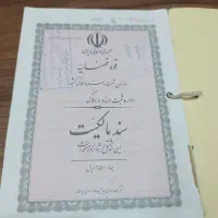 زمین گردخون