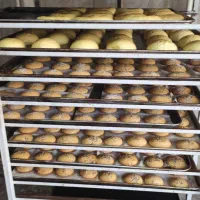 فروش عمده نان ساندویچی ...