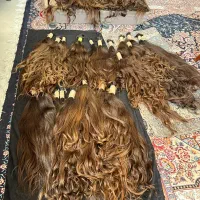 خریدوفروش موی طبیعی|آرایشی، بهداشتی، درمانی|مشکین‌دشت, |دیوار