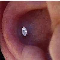 پیرسینگ و گوشواره|بدلیجات|دزفول, |دیوار