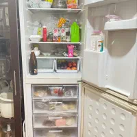 یخچال و لباسشویی