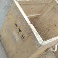 قفس مرغ و خروس|حیوانات مزرعه|بناب, |دیوار