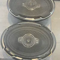 کنود خربزه ای
