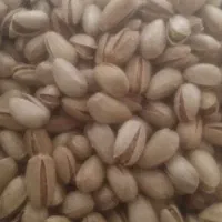 کاغذ بازی|اسباب‌‌بازی|شوشتر, |دیوار