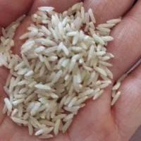 برنج ضیغمی درجه یک. 3کیلو 700 نیم دانه120|خوردنی و آشامیدنی|ایلام, |دیوار