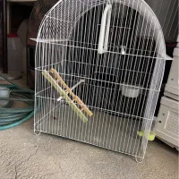 قفس عروس هلندی