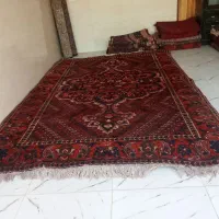 ۲۰ تخته فرش دستباف قدیمی همه باهم ۱۲۰ م