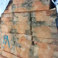 تخته قالب بندی روسی و ایرانی و تخته بنایی|عمده‌فروشی|یاسوج, |دیوار