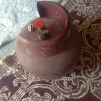 پیک نیک سالم