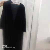 کوا مخمل اصل