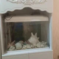 فروش فوری اکواریوم|ماهی|قشم, |دیوار