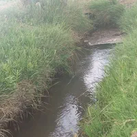 زمین کشاورزی عجب شیر روستای شیراز