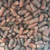 خرمای پیارم حاجی اباد