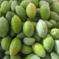 نهالستان حاج عبدا...