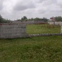 زمین-باغ-پرندگان