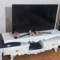 تلویزیون ۴۳ اینچ مدل ۵۸۸۰همراه بامیز تلوزیون