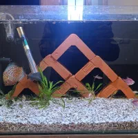 آکواریوم به همراه ماهی و لوازم