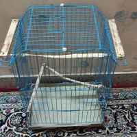 قفس عروس هلندی