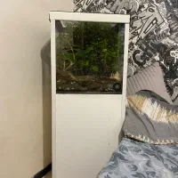 آکواریوم تراریوم