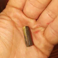 سنگ قیمتی|جواهرات|شهر ری, فیروزآباد|دیوار