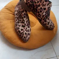 کفش نو|کیف، کفش، کمربند|کرج, شهرک بهارستان|دیوار