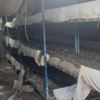 وسایل پرورش قارچ|عمدهفروشی|کوهدشت, |دیوار