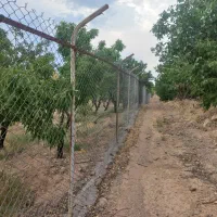 فروش طرح بادامستان