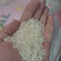 برنج پاکستانی