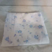 پارچه چادری|لباس|نیشابور, گمنام غربی|دیوار