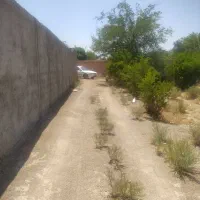 باغ 500 متری سند دار جهادآباد معاوضه|فروش دفتر صنعتی، کشاورزی، تجاری|شاهین‌شهر, برخوار غرب|دیوار