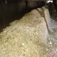 کود خشک|خدمات باغبانی و درختکاری|تایباد, |دیوار