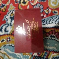 پاکوتاه مینیاتوری|سگ|بناب, |دیوار